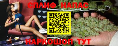 сатива Обь