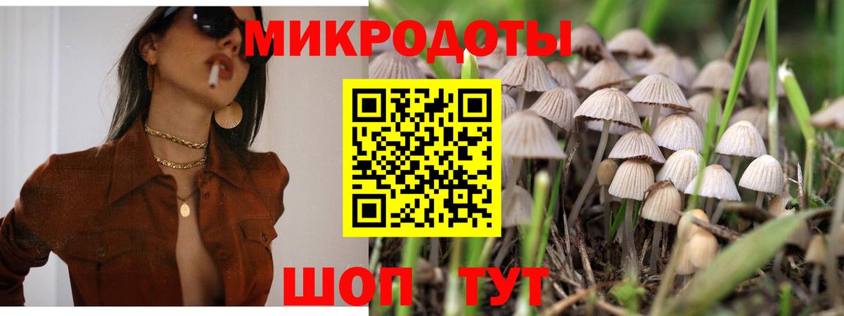 Галлюциногенные грибы Magic Shrooms Ахтубинск