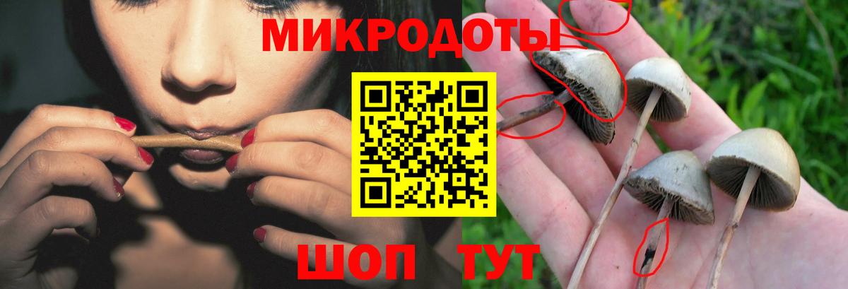 Галлюциногенные грибы мицелий  купить закладку  Ахтубинск  Галлюциногенные грибы Cubensis  Вход с VPN 